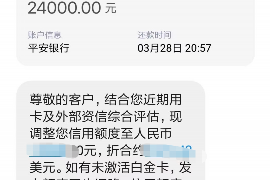 莱芜为什么选择专业追讨公司来处理您的债务纠纷？